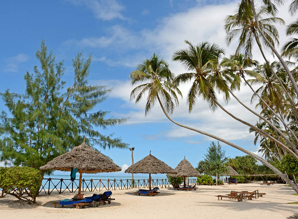 8 Days-Bush Safari & Beach Holiday